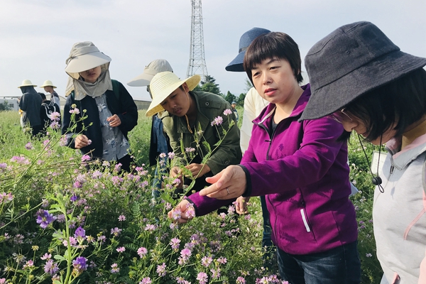 喜讯龙明秀教授获评陕西省教学名师